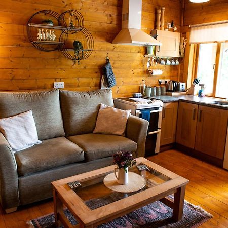 Bettws Cedewain Cherry Cabin - Little Log Cabin In Wales מראה חיצוני תמונה