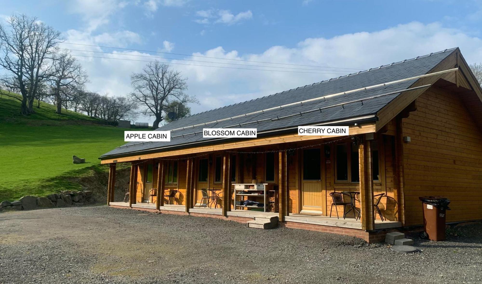 Bettws Cedewain Cherry Cabin - Little Log Cabin In Wales מראה חיצוני תמונה
